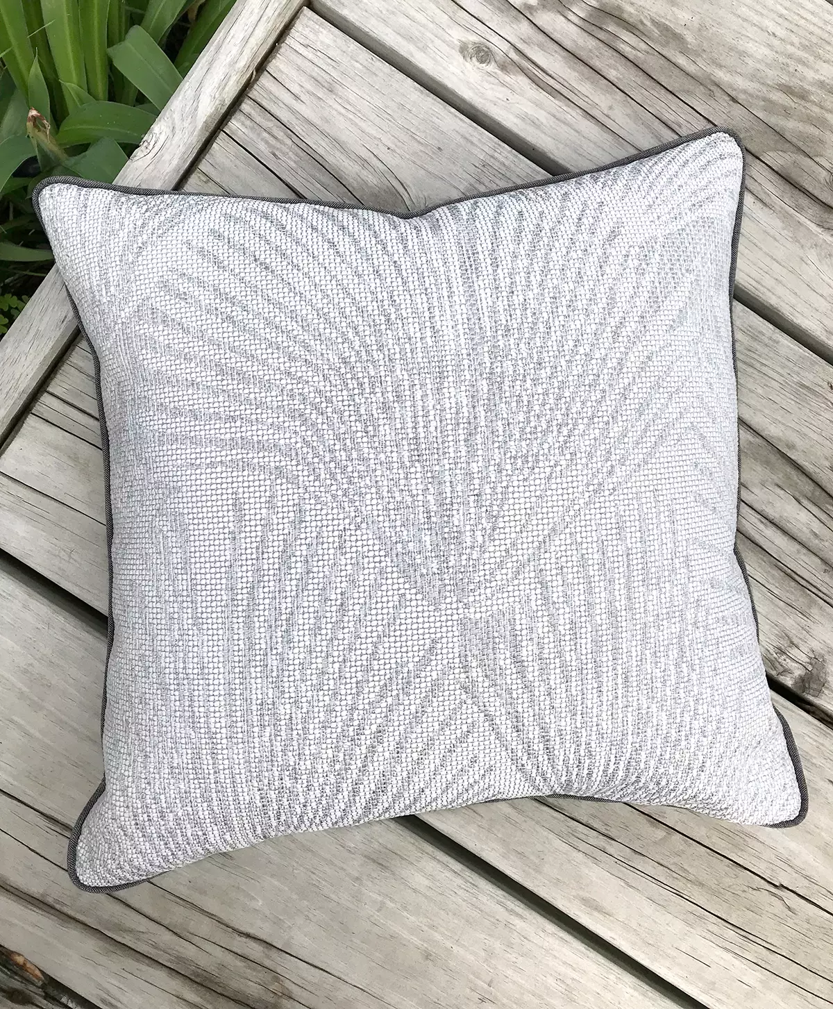 Palm