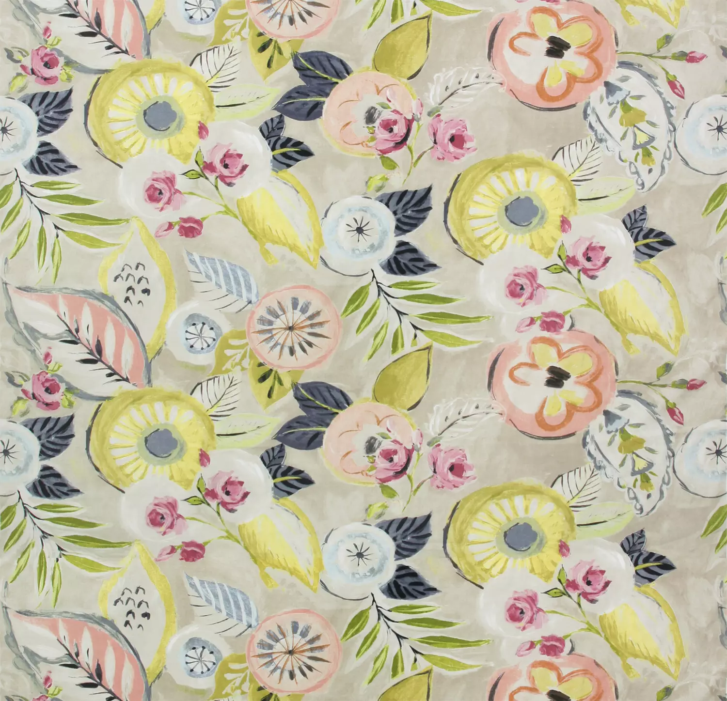 Shalimar | Blush