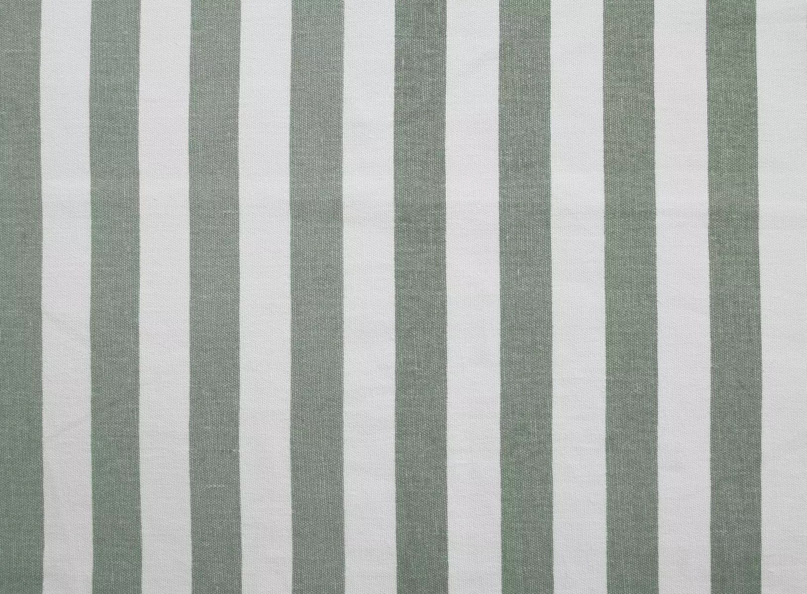 Brush Stripe - Sage
