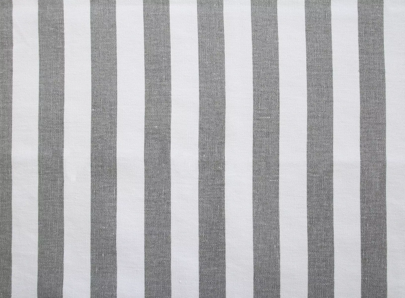 Brush Stripe - Silver