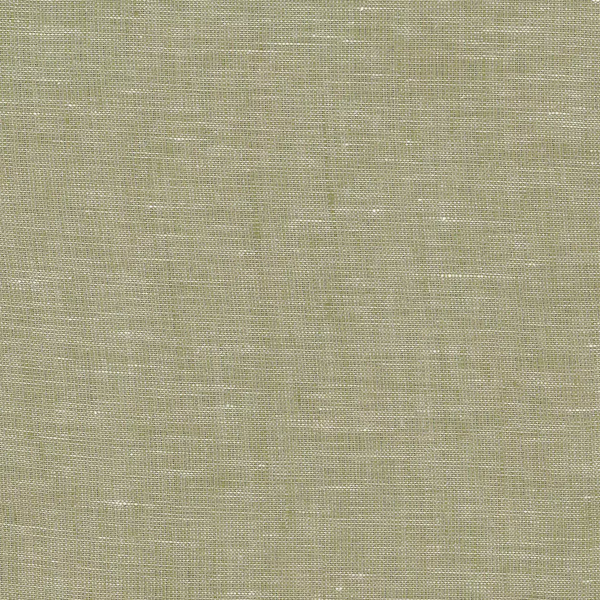 Radiance - Olive