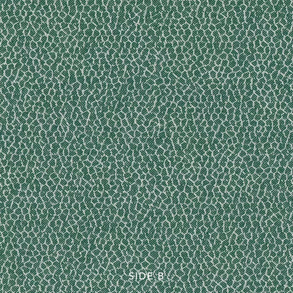 Spirit | Forest_sideb