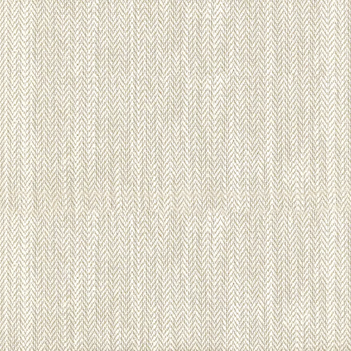 Zapala | White Wash