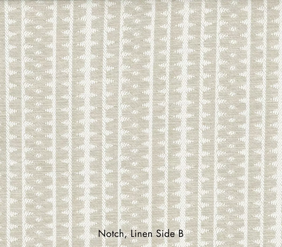 Notch - Jungle_sideb