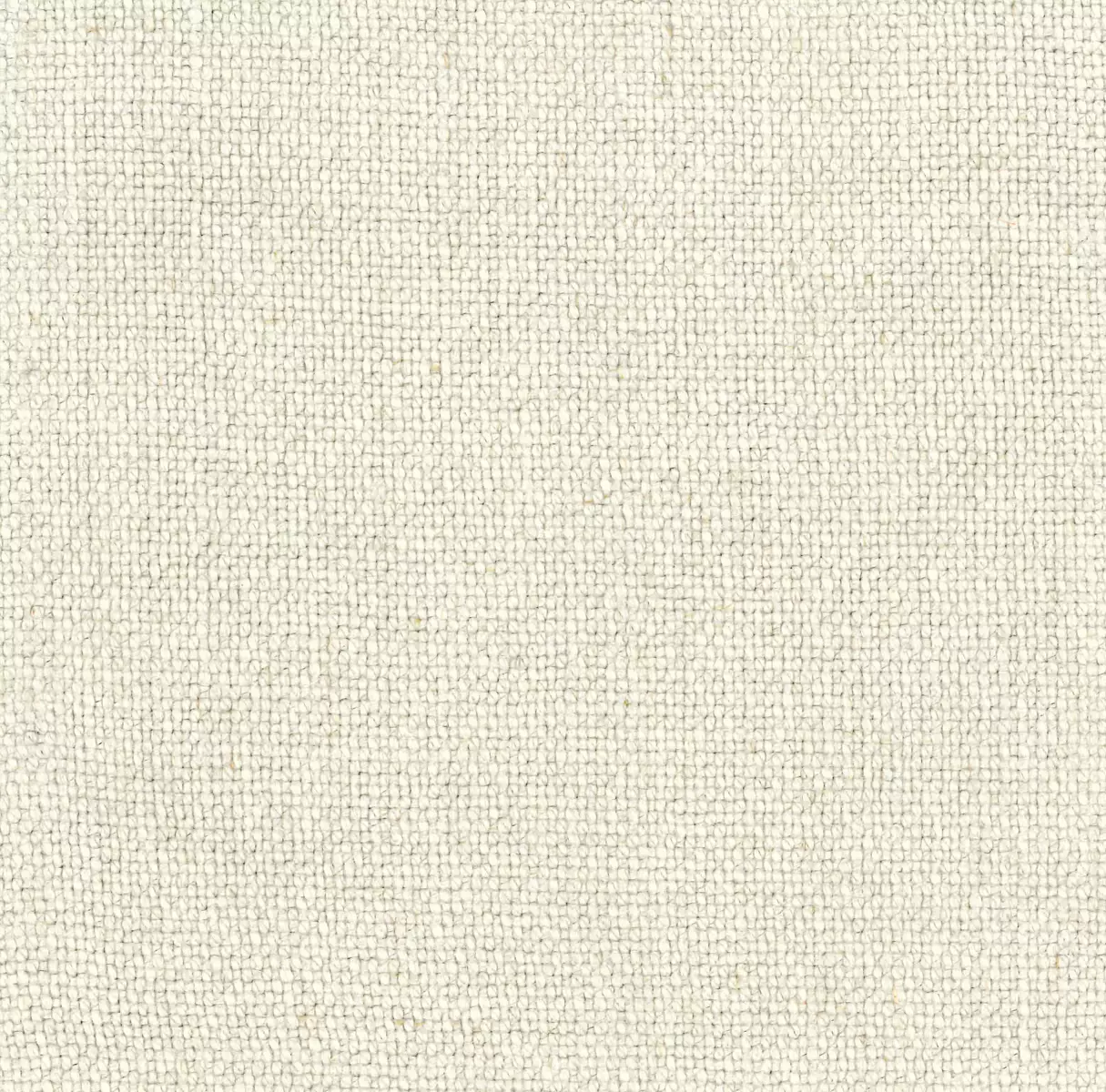 Barker | Shell