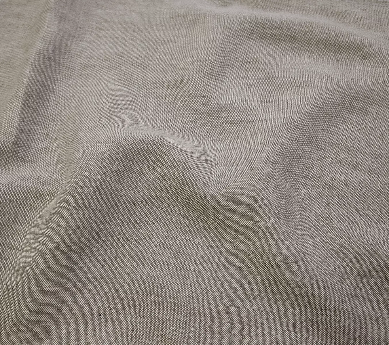 Cardinale