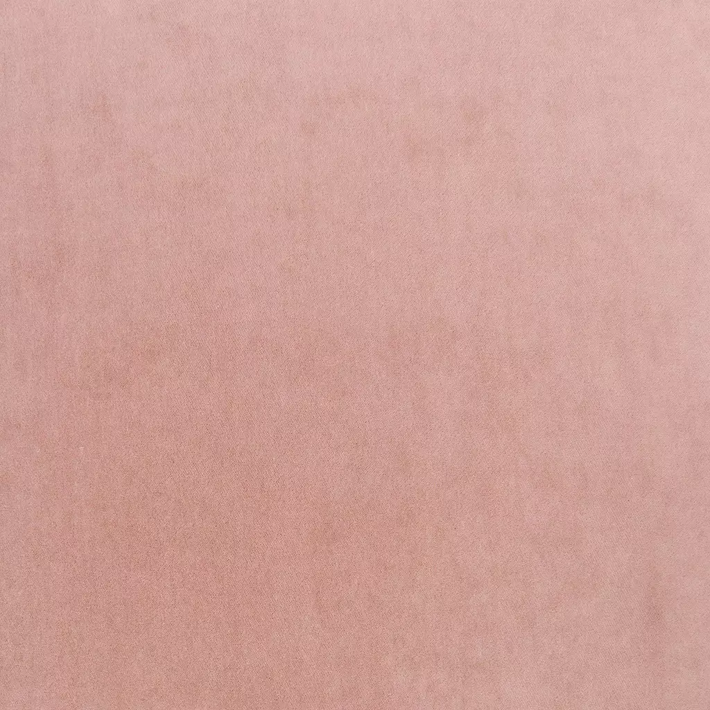 Copenhagen | Petal