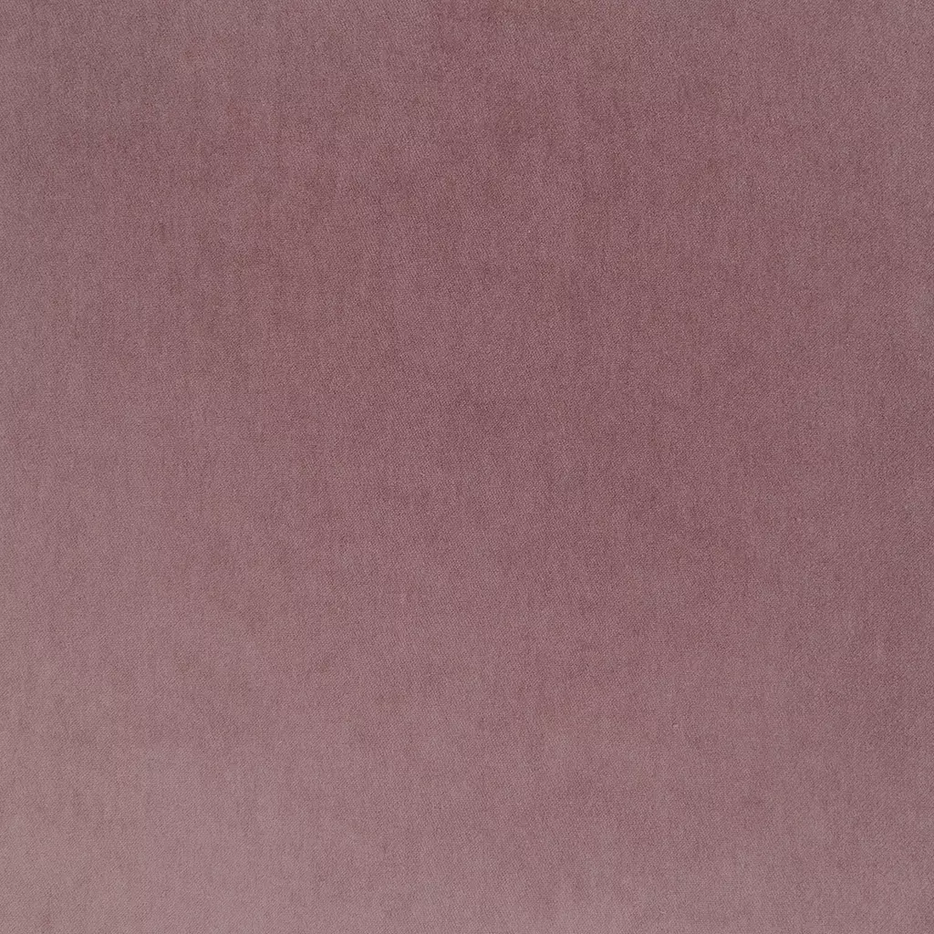 Copenhagen | Rose