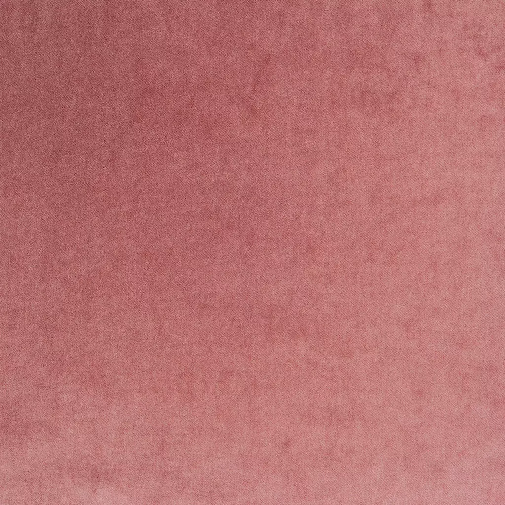 Copenhagen | Sorbet