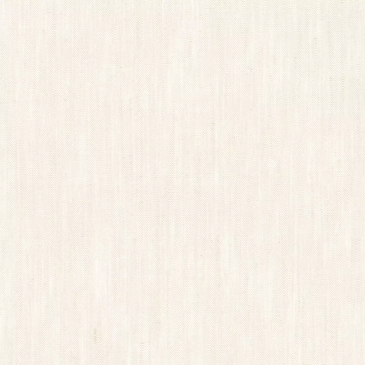 Marcel | Vanilla