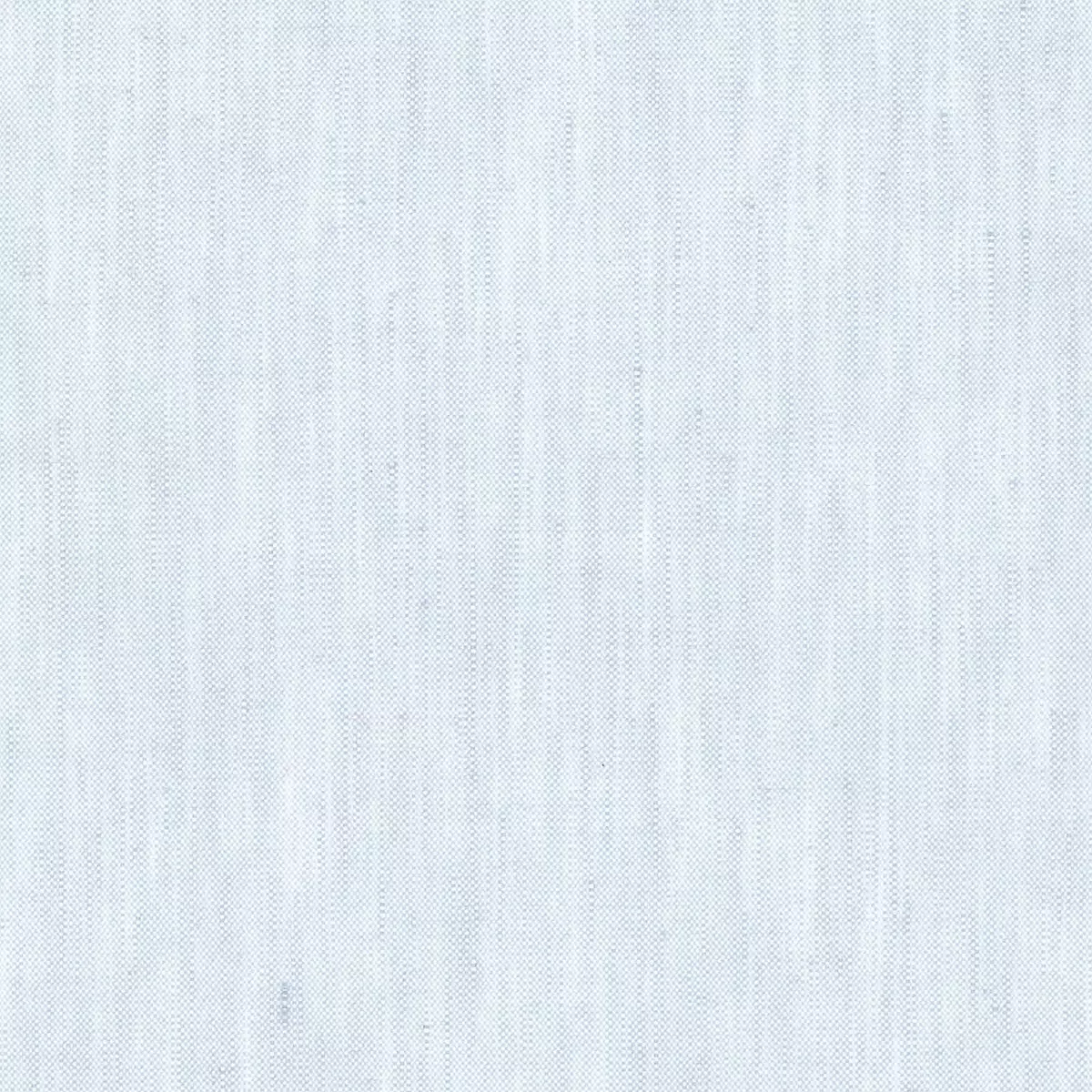 Marcel | Powder
