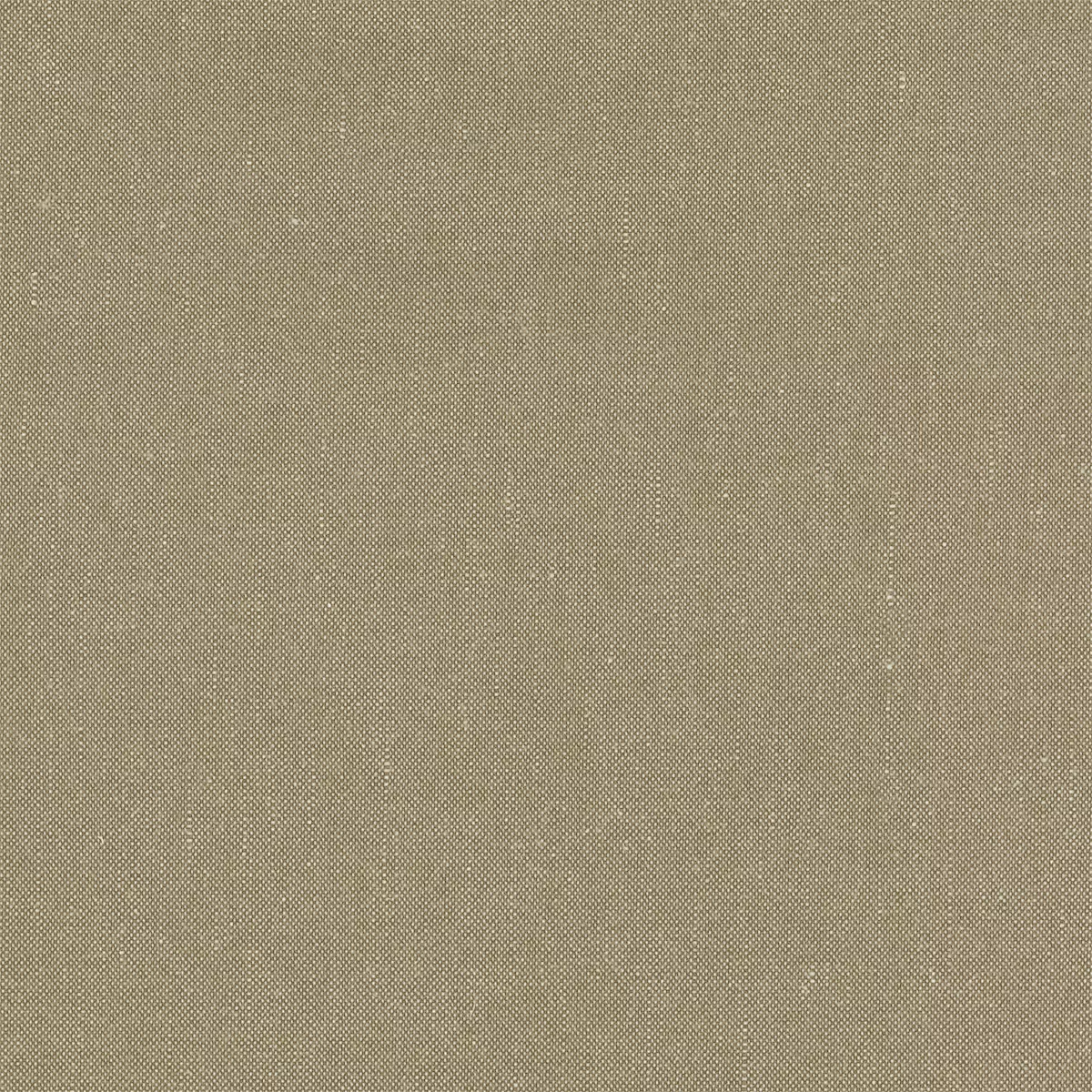 Marcel | Desert