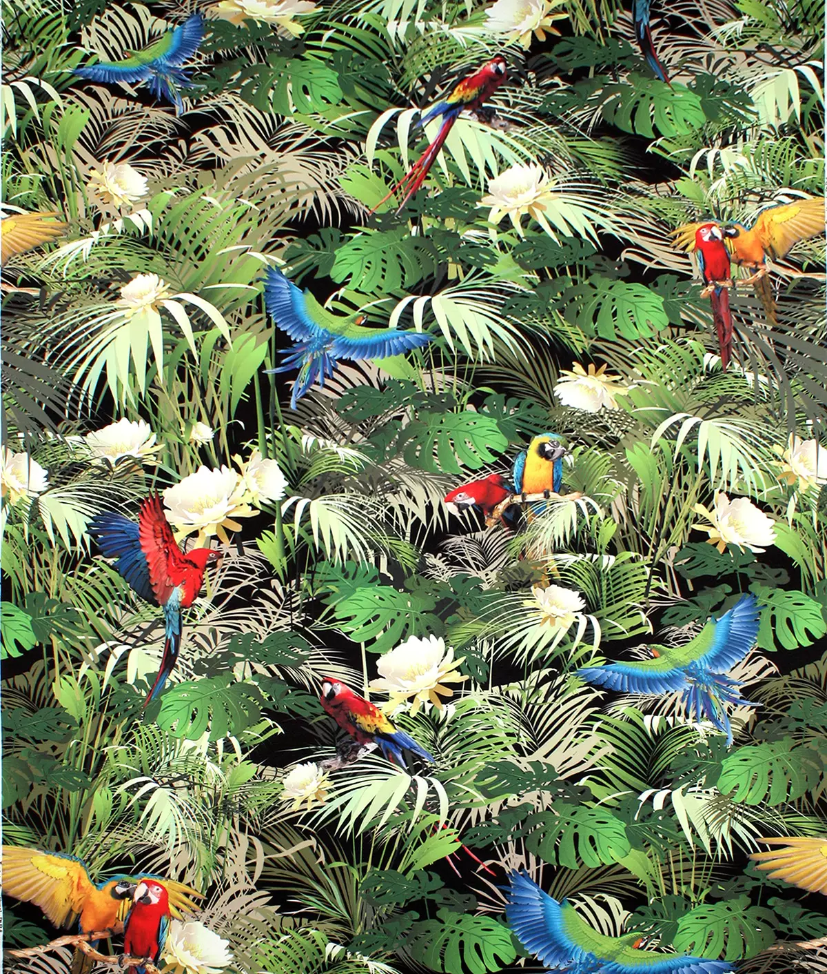 Rainforest