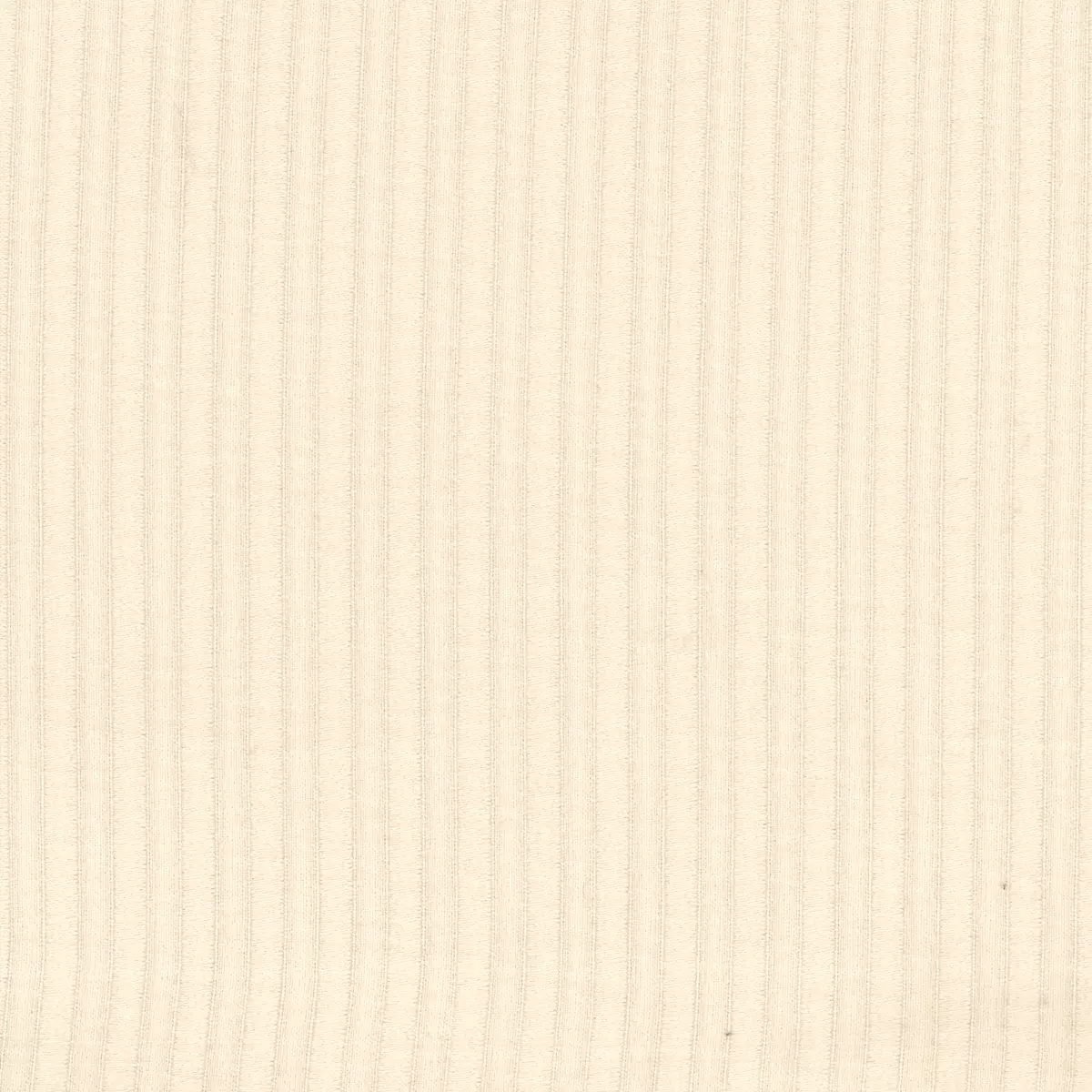 Parchment