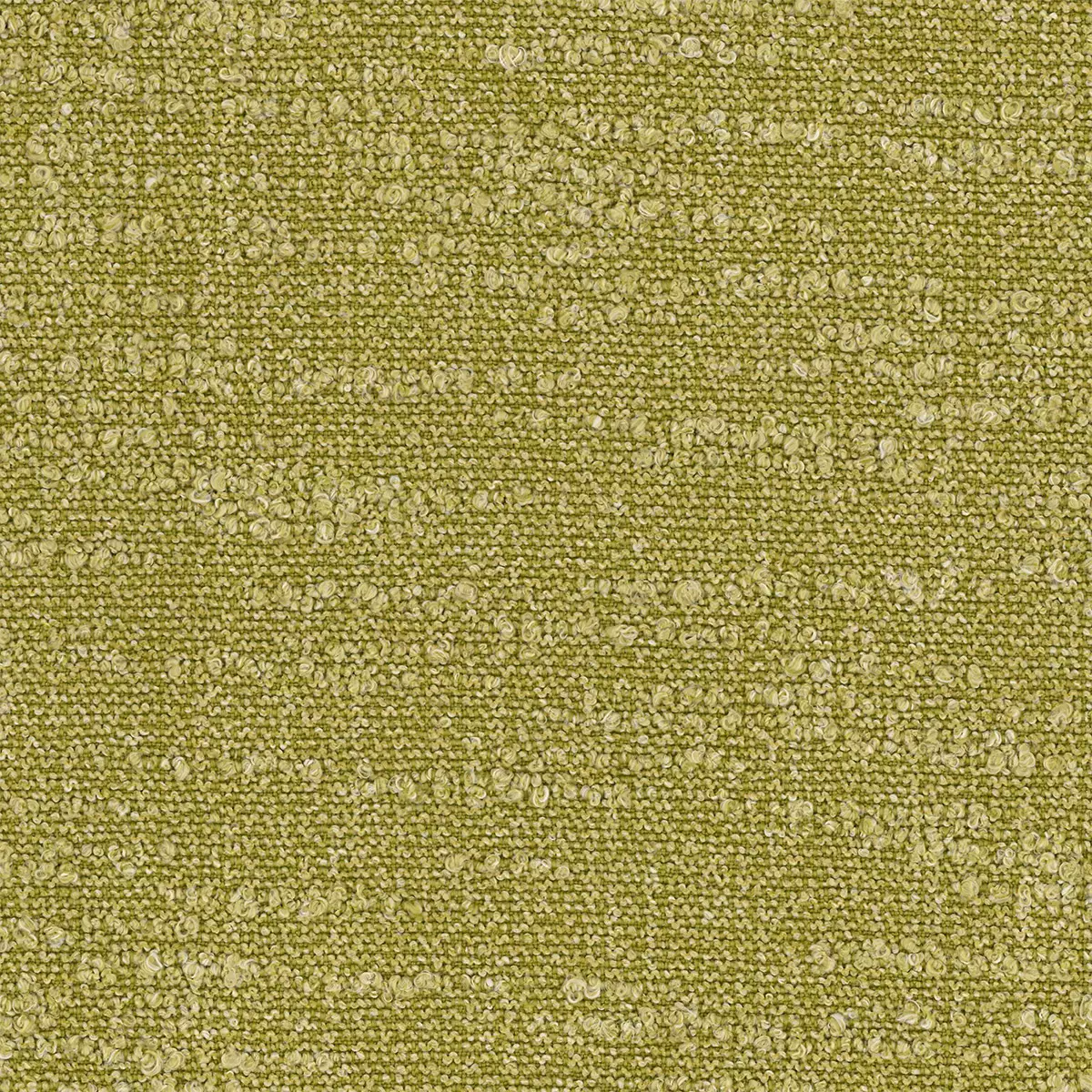 Strata - Palm