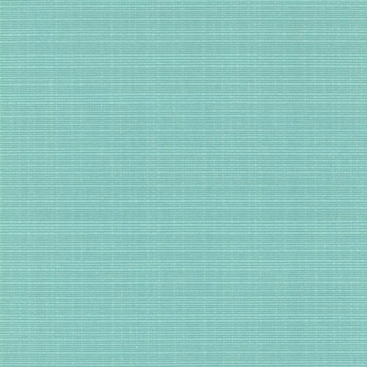 Aqua