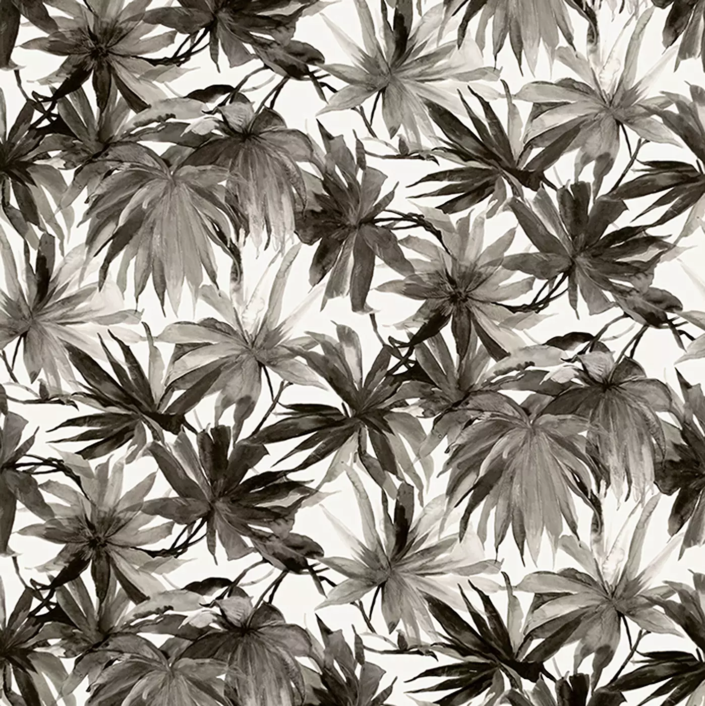 Coal