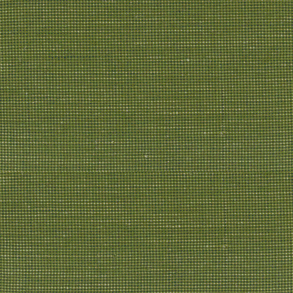 Moss