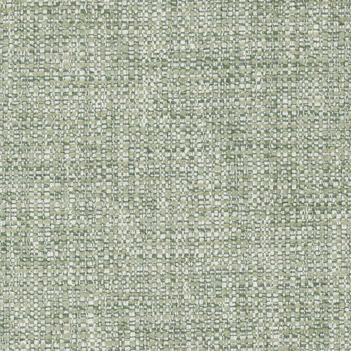 Isola - Celadon