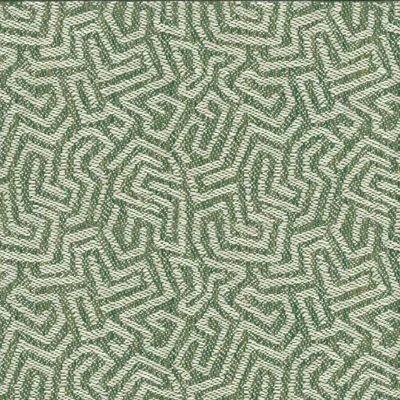 Amaze Jungle